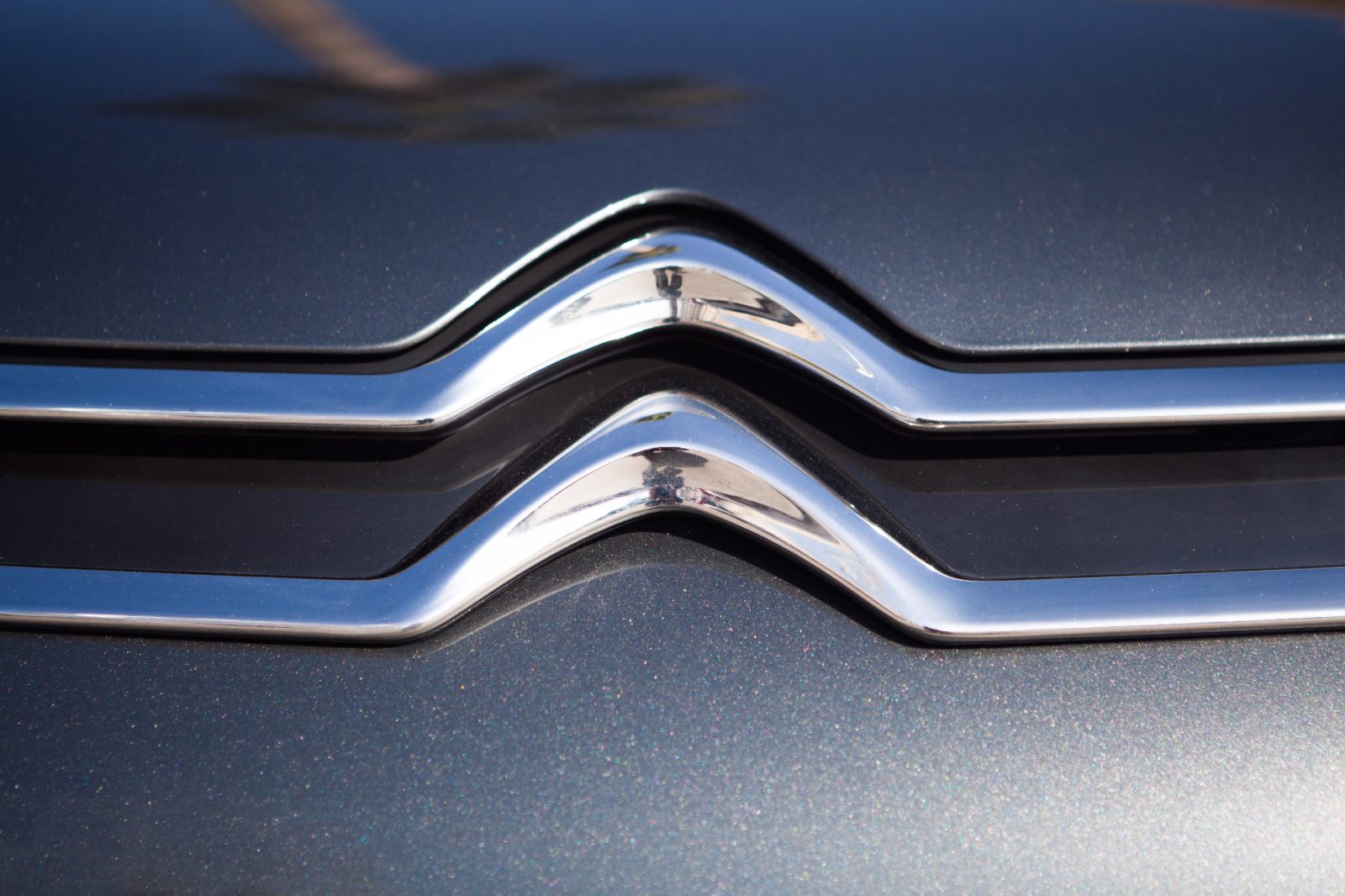 Citroen resno jemlje udobje